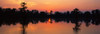 http://c328301.r1.cf1.rackcdn.com/PPI49702L.jpg