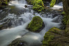 A portion of Panther Creek; Washington, United States of America PosterPrint - Item # VARDPI12281492