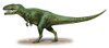 Giganotosaurus carolinii, a prehistoric era dinosaur from the Late Cretaceous period Poster Print - Item # VARPSTSKR100059P