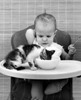 Kitten drinking milk from baby's bowl Poster Print - Item # VARSAL2551022B