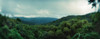 Elevated view of trees in valley landscape, Vinales Valley, Vinales, Cuba Poster Print - Item # VARPPI169909