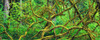 http://c328301.r1.cf1.rackcdn.com/PPI89136S.jpg