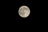 Full Moon Poster Print - Item # VARPSTTAK100067S