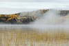Mist Over A Lake In Autumn; Ontario, Canada PosterPrint - Item # VARDPI1900657