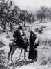 Boaz and Ruth  William Hole Poster Print - Item # VARSAL995337