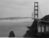 USA  California  San Francisco  Golden Gate Bridge Poster Print - Item # VARSAL255424431