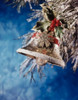 Close-up of a bell with holly leaves and berries hanging on a Christmas tree Poster Print - Item # VARSAL49112925