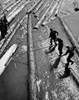 High angle view of three lumberjacks pulling logs out from water Poster Print - Item # VARSAL25535082