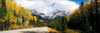 Road passing through a forest, Yoho National Park, Alberta, British Columbia, Canada Poster Print - Item # VARPPI117749