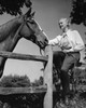 Low angle view of a young woman feeding a horse Poster Print - Item # VARSAL2552885