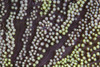 http://c328301.r1.cf1.rackcdn.com/PSTETH400155ULARGE.jpg