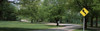 http://c328301.r1.cf1.rackcdn.com/PPI72480L.jpg