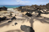 Hawaii, Maui, Makena, Beautiful clear ocean among lava rock. PosterPrint - Item # VARDPI2116623