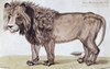 The King Of The Beasts 1810 Felix Dogherty Poster Print - Item # VARSAL900116366