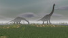 Two Brachiosaurus dinosaurs grazing in the mist Poster Print - Item # VARPSTKVA600010P