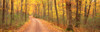 http://c328301.r1.cf1.rackcdn.com/PPI50172L.jpg
