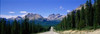http://c328301.r1.cf1.rackcdn.com/PPI46339L.jpg