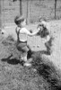 Boy standing near fence with cocker spaniel Poster Print - Item # VARSAL255424564