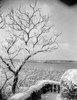 Winter landscape Poster Print