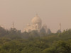 Taj Mahal, Agra, Uttar Pradesh, India PosterPrint - Item # VARDPI1844212