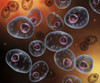 Conceptual image of mast cells Poster Print - Item # VARPSTSTK701211H