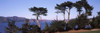 http://c328301.r1.cf1.rackcdn.com/PPI146847L.jpg