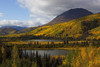 Mountains In Autumn Colour Along The Haines Highway; Yukon Canada PosterPrint - Item # VARDPI2076046