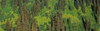 http://c328301.r1.cf1.rackcdn.com/PPI159711L.jpg
