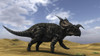 Brown Einiosaurus walking across a barren landscape Poster Print - Item # VARPSTKVA600446P
