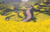 http://c328301.r1.cf1.rackcdn.com/PDDAS07KSU0871.jpg