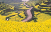 http://c328301.r1.cf1.rackcdn.com/PDDAS07KSU0871B.jpg