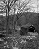 USA  Vermont  Brattleboro  Daffodils in forest  covered bridge in background Poster Print - Item # VARSAL255424050