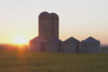 Alberta, Canada; Grain Bins At Sunrise PosterPrint - Item # VARDPI1866788