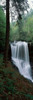 Dry Falls  Nantahala National Forest  Macon County  North Carolina Poster Print by Panoramic Images (12 x 36) - Item # PPI109418