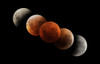 August 28, 2007 - Composite image of Lunar Eclipse from Greens Lake, Victoria, Australia Poster Print - Item # VARPSTPHA100005S