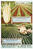 http://c328301.r1.cf1.rackcdn.com/DPI12272555LARGE.jpg