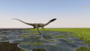 Coelophysis running through swampy water Poster Print - Item # VARPSTKVA600594P