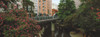 http://c328301.r1.cf1.rackcdn.com/PPI156960S.jpg