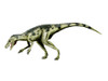 Herrerasaurus dinosaur, white background Poster Print - Item # VARPSTNBT600111P