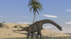 Large Brachiosaurus walking along the water's edge Poster Print - Item # VARPSTKVA600131P