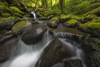 Ruckel Creek; Oregon, United States of America PosterPrint - Item # VARDPI12281500