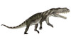 Prestosuchus dinosaur roaring, white background Poster Print - Item # VARPSTEDV600201P
