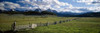 Sawtooth Mountains  Idaho Poster Print by Panoramic Images (37 x 12) - Item # PPI6349