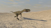 Coelophysis running across a barren desert Poster Print - Item # VARPSTKVA600099P