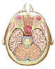 Transverse section of the midbrain Poster Print - Item # VARPSTSTK700188H