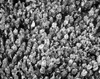 High angle view of a crowd of people standing Poster Print - Item # VARSAL2553751