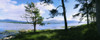 Kenmare Bay, Dunkerron Islands, Co Kerry, Ireland; Shoreline On A Bay PosterPrint - Item # VARDPI1804377