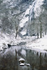 Powerscourt Waterfall In Winter, County Wicklow, Ireland PosterPrint - Item # VARDPI1852918
