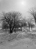 Winter scenic at sundown Poster Print - Item # VARSAL255424755