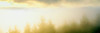 Fog over trees, Grasshopper Peak, Humboldt Redwoods State Park, Humboldt County, California, USA Poster Print - Item # VARPPI168123